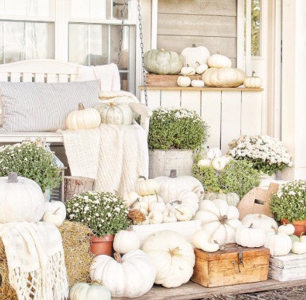 White Fairytale Bundle